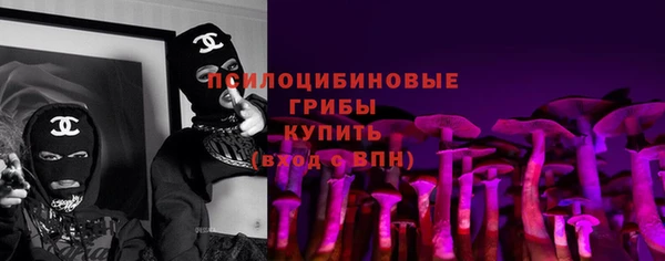 прущие грибы Балахна