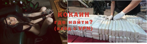прущие грибы Балахна