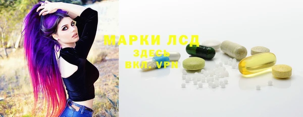 прущие грибы Балахна