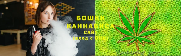 прущие грибы Балахна