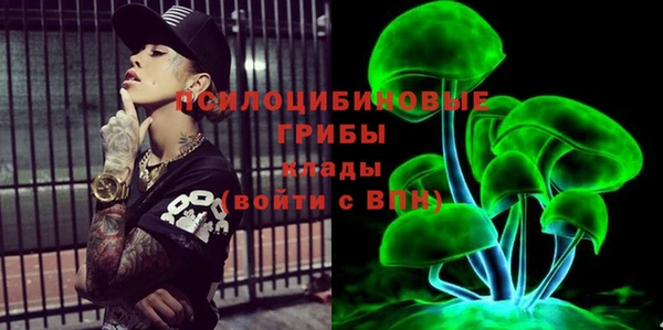 прущие грибы Балахна