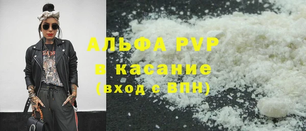 прущие грибы Балахна