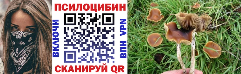 Псилоцибиновые грибы GOLDEN TEACHER Макаров